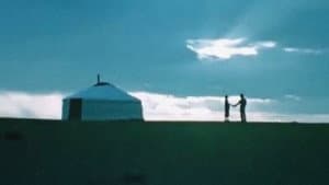 Говийн зэрэглээ — foto 2