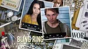 Bling Ring: La Verdadera Historia De Los Robos En Hollywood — foto 4