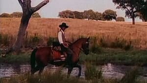 Alentejo Sem Lei — foto 3