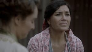 La Jaula del Palomo