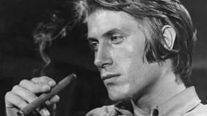 Dutronc, la vie malgré lui — foto 1