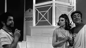 Mai di sabato, signora Lisistrata — foto 1