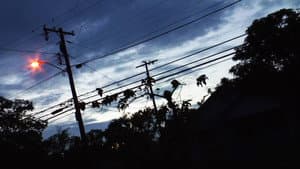 No Ward — foto 1