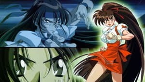 ヴァリアブル・ジオ — foto 3