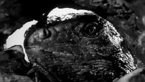 King Dinosaur — foto 5