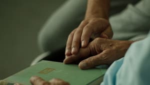 Lo efímero — foto 2
