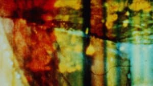 Engram of Returning — foto 2