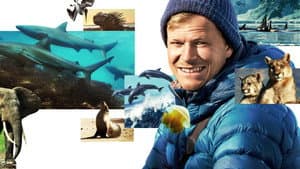 Animales de cerca con Bertie Gregory — foto 1