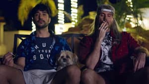 Doggy Bank — foto 4