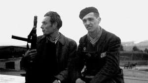Les Résistants de Mauthausen — foto 11