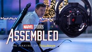 Creando Hawkeye — foto 7