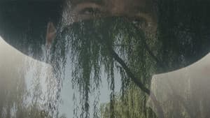 Among the Willows — foto 3