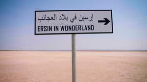 Ersin in wonderland — foto 2