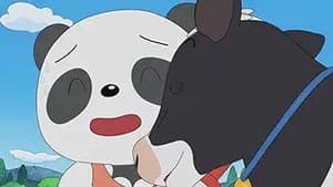 Episodio 8