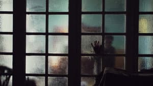 كولونيا — foto 5