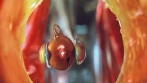 看護婦日記 獣じみた午後 — foto 7