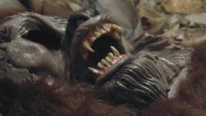 Dogman — foto 1