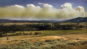 National Parks Exploration Series: Yellowstone — foto 1