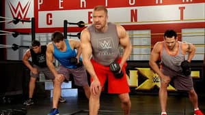 WWE Power Series: Triple H — foto 1