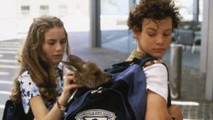 Joey — foto 1