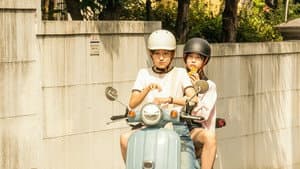 청설 — foto 10
