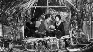 Cánh đồng hoang — foto 1