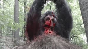Frozen Sasquatch — foto 1