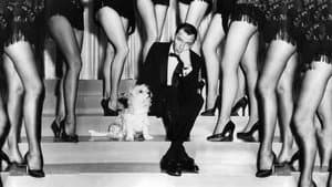 Pal Joey — foto 12