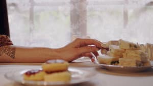 Gardenia — foto 2