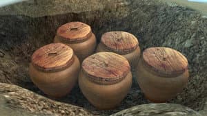 Episodio 5