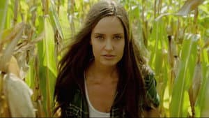 Lobos — foto 9