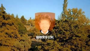 Episodio 8