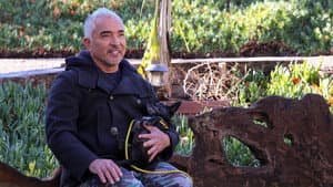 Episodio 7
