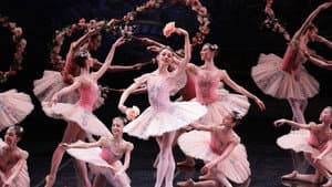 Le Corsaire — foto 1