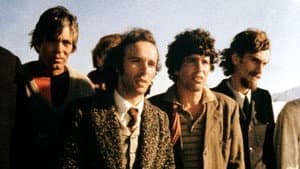 Il minestrone — foto 1