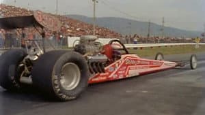 American Nitro — foto 1