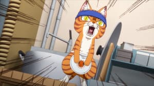 Episodio 7