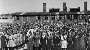 Unter Deutschen - Zwangsarbeit im NS-Staat — foto 2