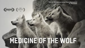 Medicine of the Wolf — foto 1
