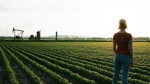 My Country No More — foto 1