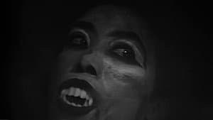 Fright Night of the Living Dead — foto 1