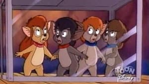 Episodio 58