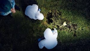 Buried In The Backyard — foto 1