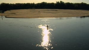 Comme des mouches — foto 1