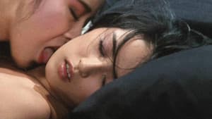 白日夢2 — foto 1