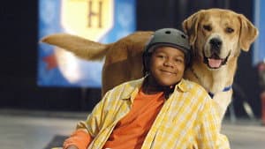 Life Is Ruff — foto 3