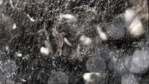 Still in Cosmos — foto 2
