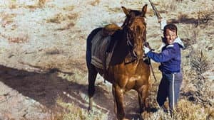 40 Rifles en el paso Apache — foto 6