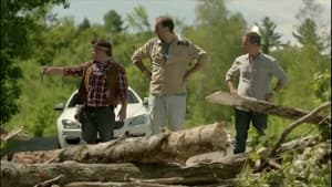 Episodio 7
