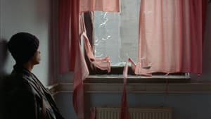 Nhím — foto 2